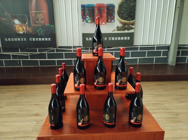 桑葚酒未來幾年會(huì)不會(huì)成為飲品市場(chǎng)的新寵？